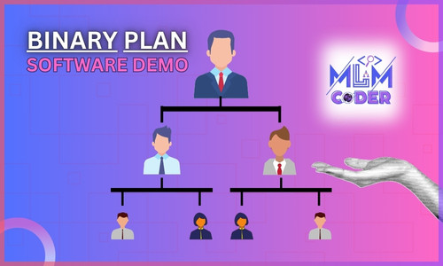 Binary Plan
