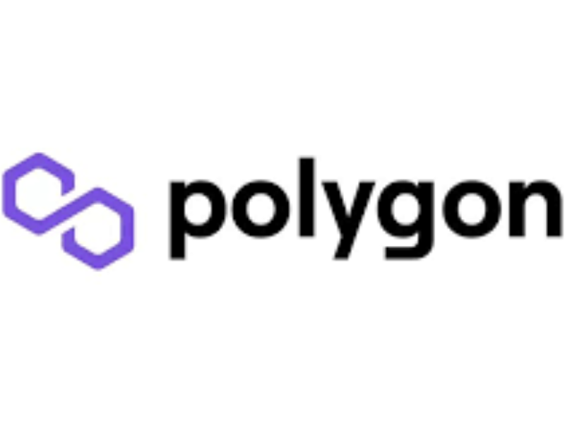 Polygon Network Logo